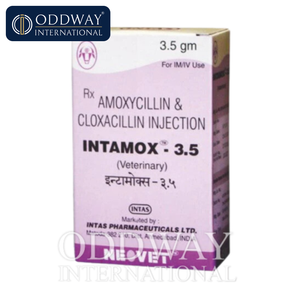 Intamox Injection wholesale supply for veterinary distributors
