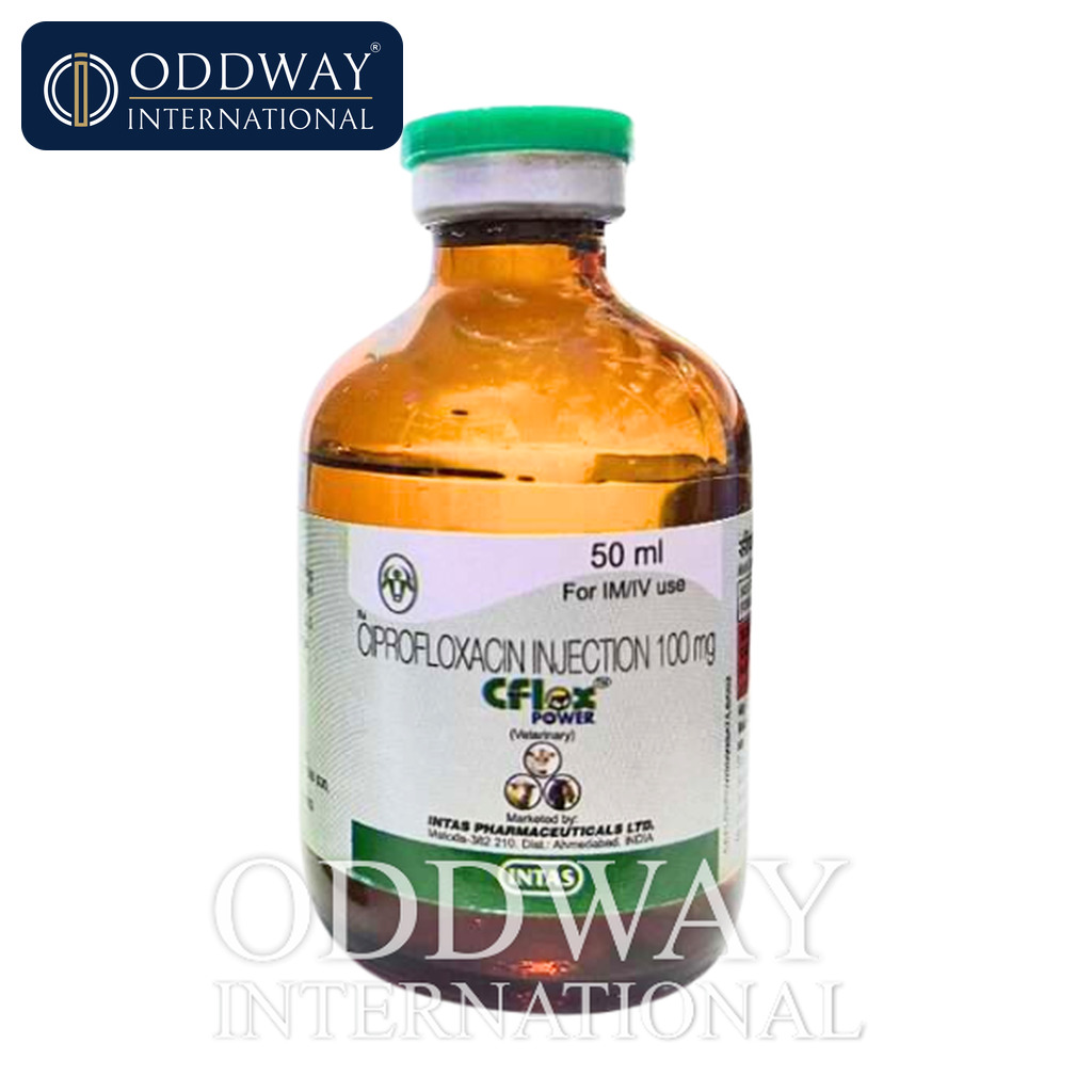 Ciprofloxacin for dogs supplier from India for global importers