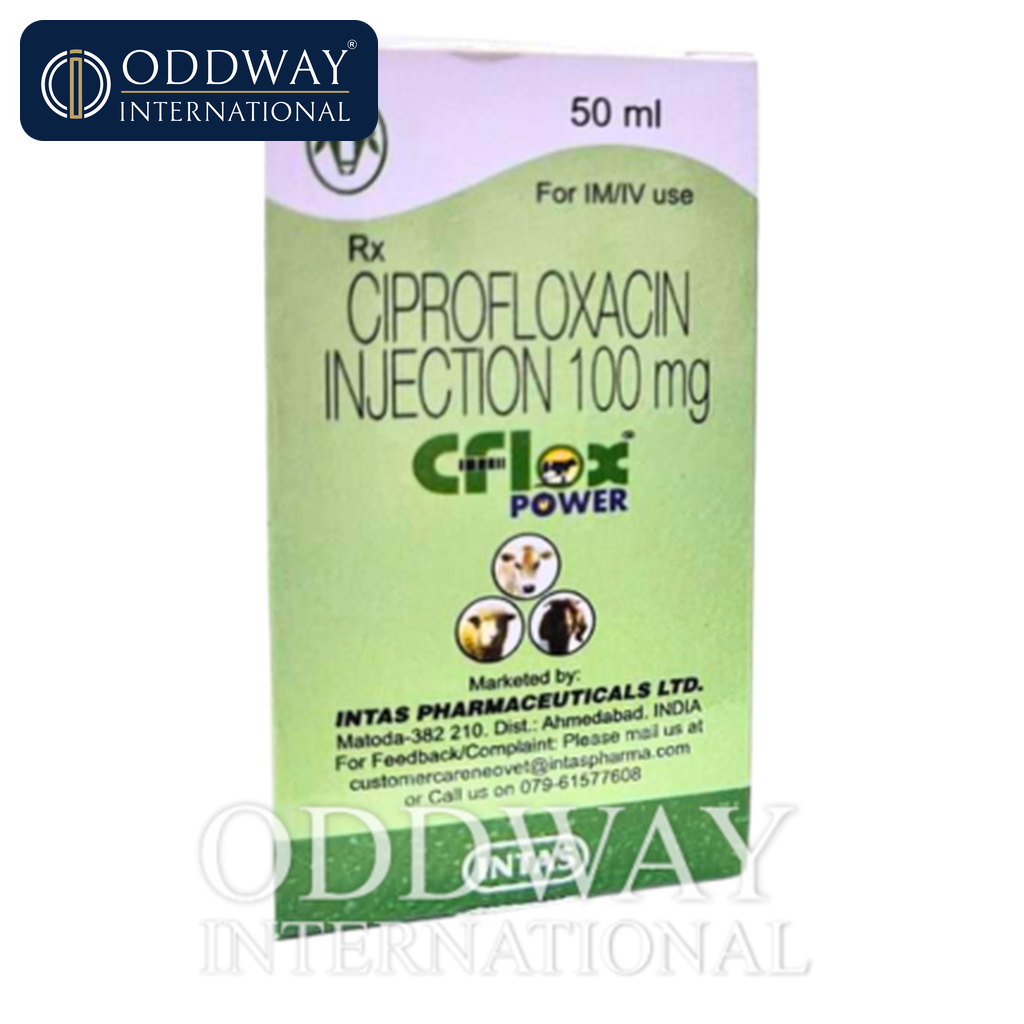 Ciprofloxacin for dogs wholesale supply for veterinary procurement