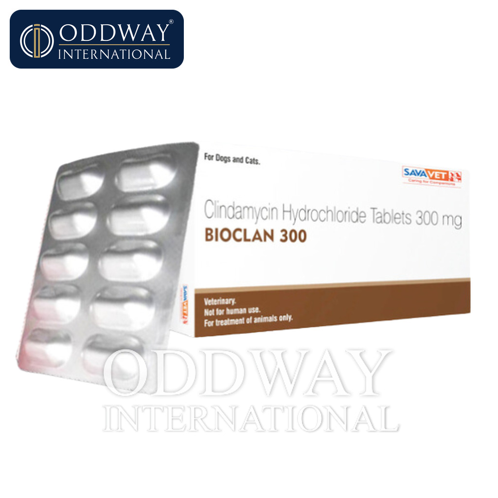 Clindamycin for dogs and cats exporter for regulated and semi-regulated markets