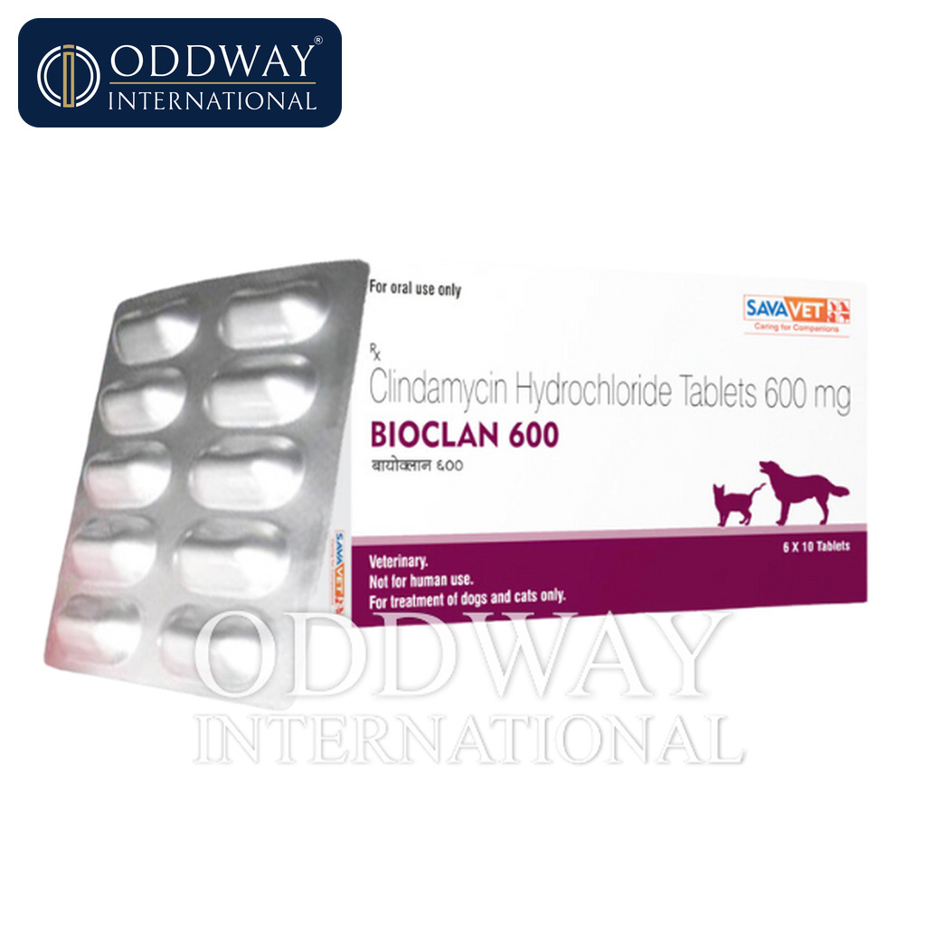 Clindamycin for dogs and cats price and MOQ for bulk orders