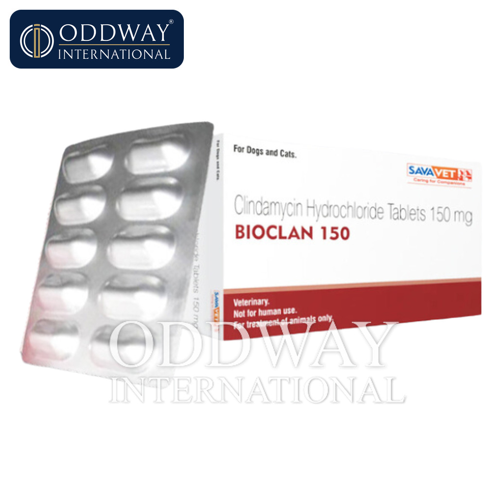 Clindamycin for dogs and cats supplier with export documentation support