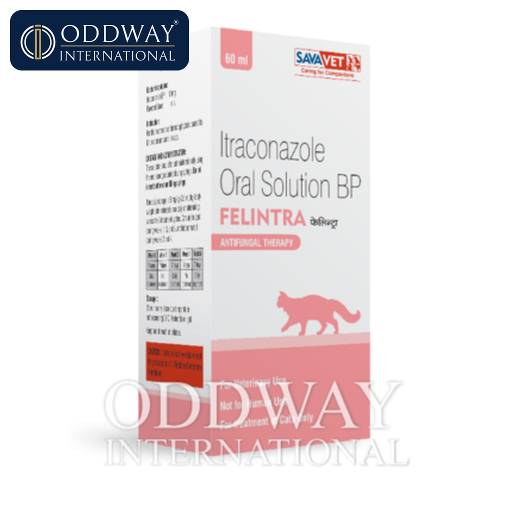 Itraconazole For Cats supplier for veterinary procurement and export
