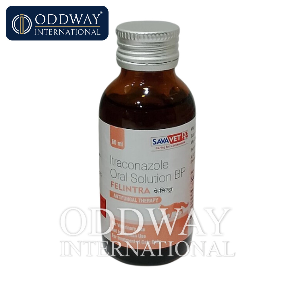 Itraconazole For Cats wholesale supply for distributors and clinics