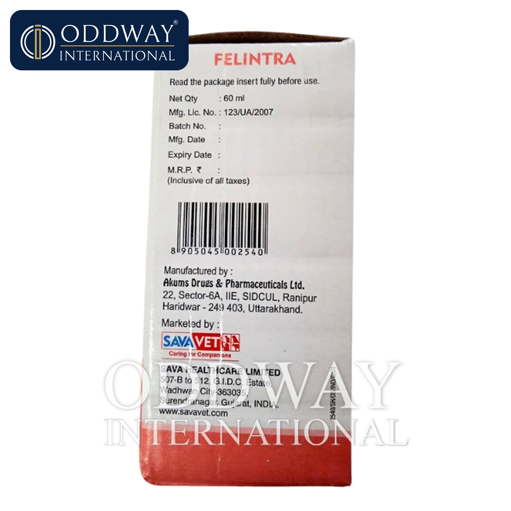 Itraconazole For Cats exporter with global logistics and documentation support