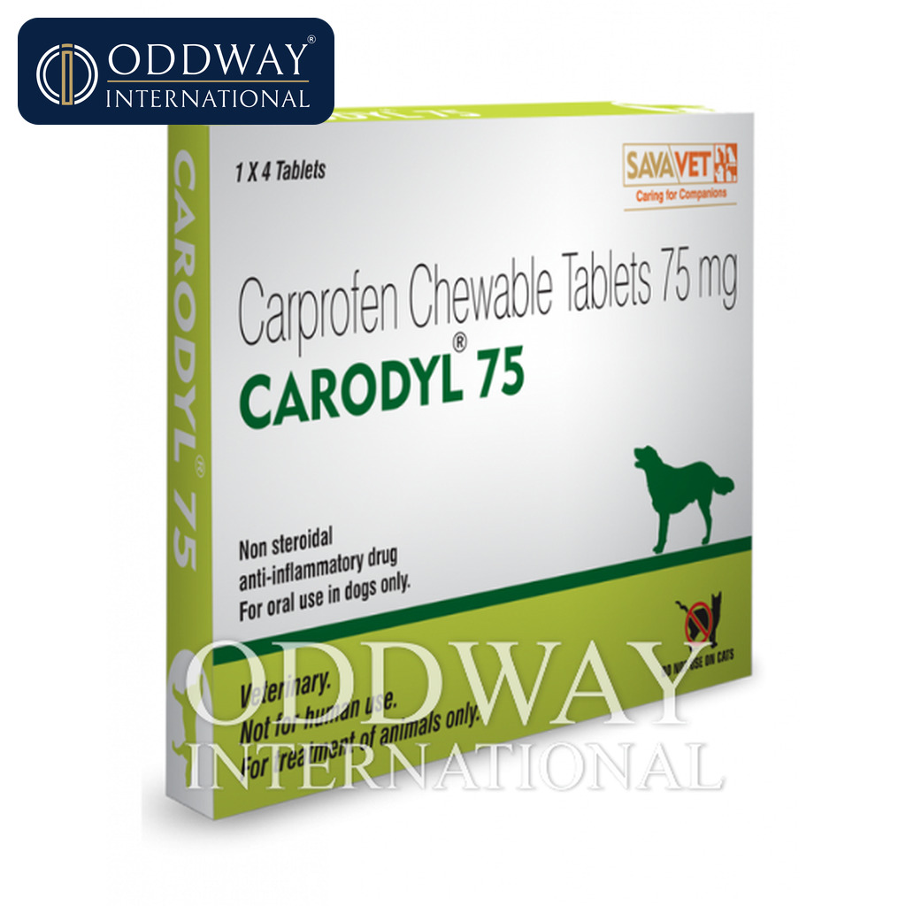Purchase Carprofen for dogs in bulk with MOQ confirmation