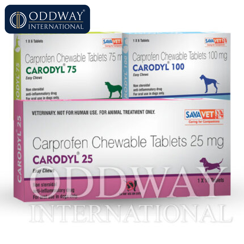 Carprofen for dogs wholesale supply for veterinary distributors