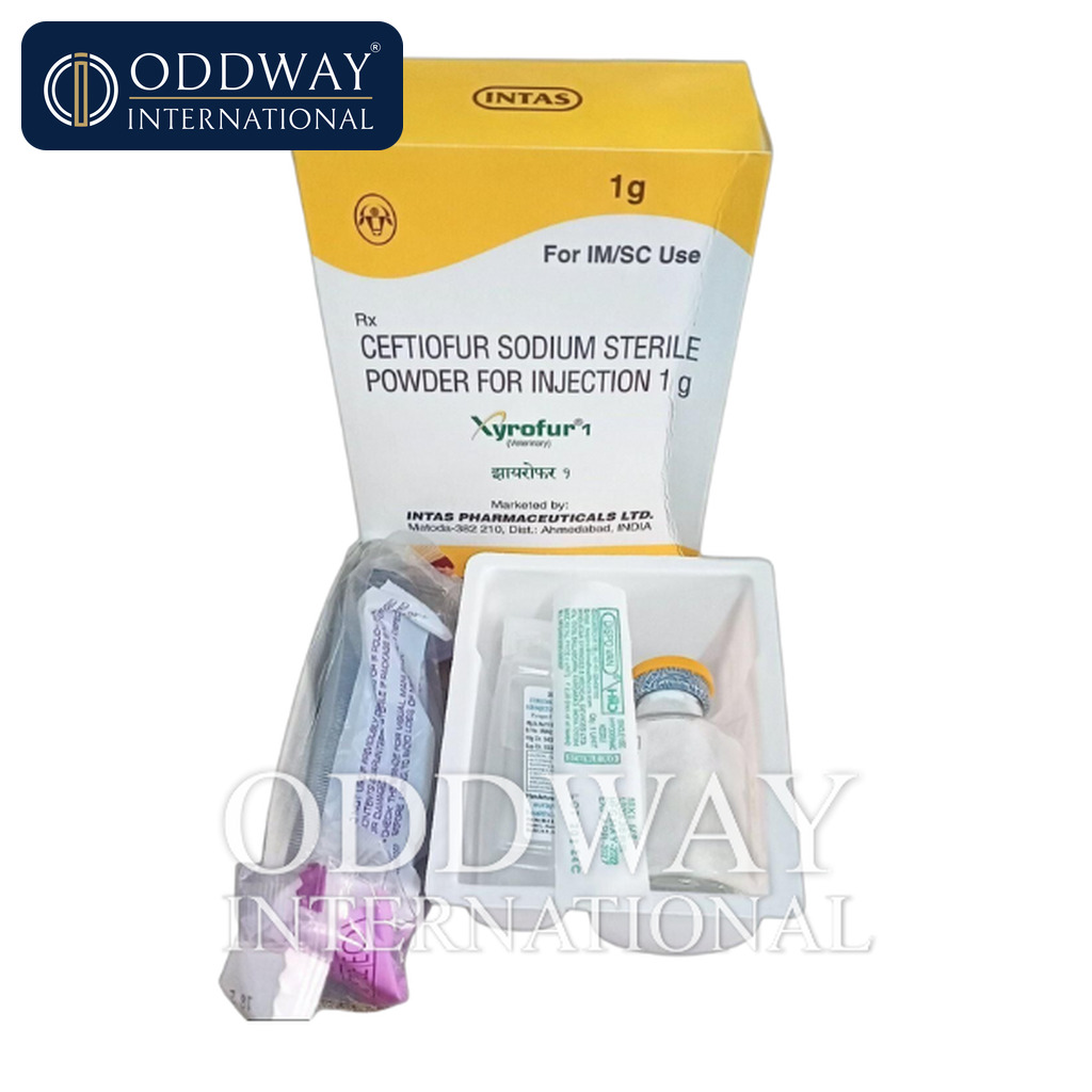 Purchase Ceftiofur Injection with MOQ and documentation support