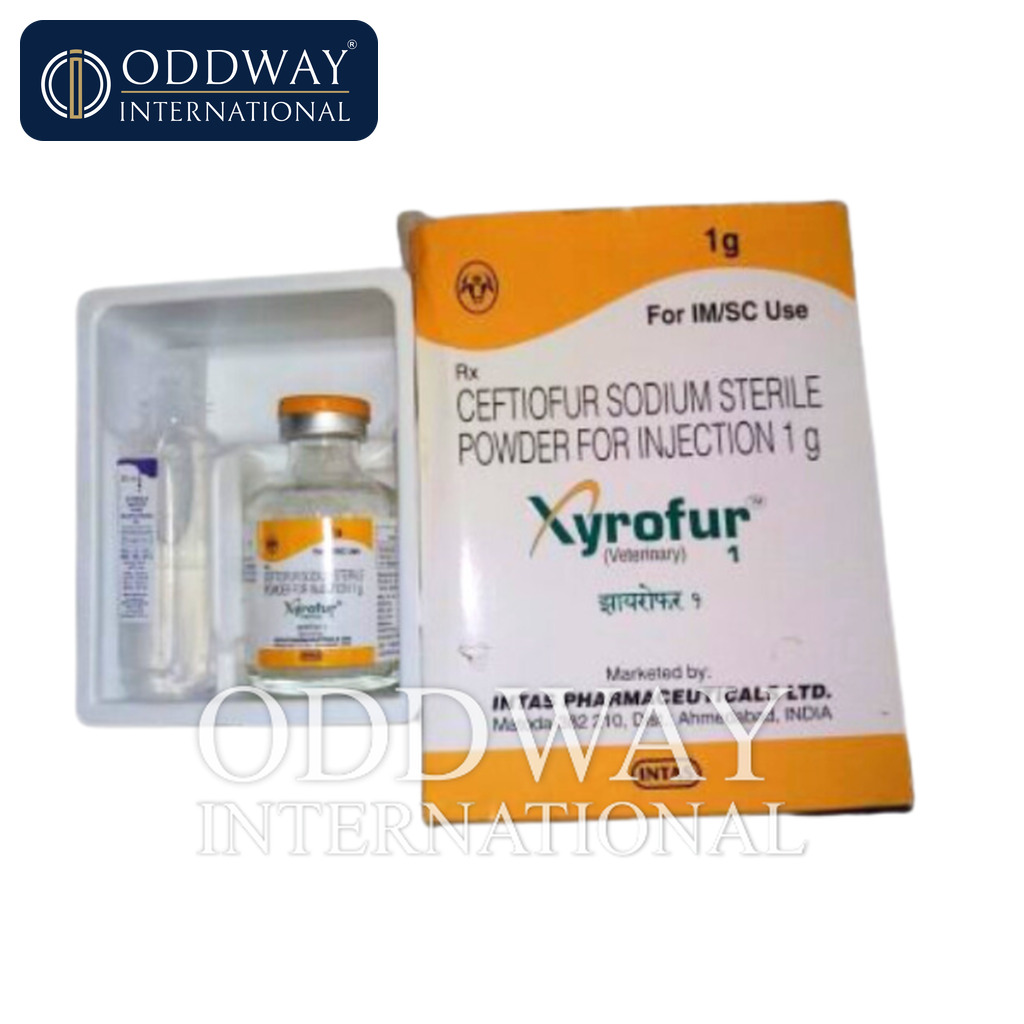 Ceftiofur Injection supplier in India for global distribution channels