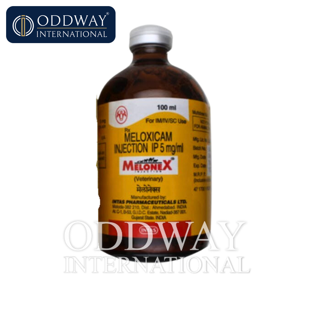 Meloxicam for dogs & cats exporter from India