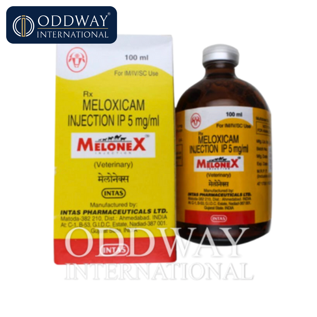 Meloxicam for dogs and cats wholesale supply for veterinary importers