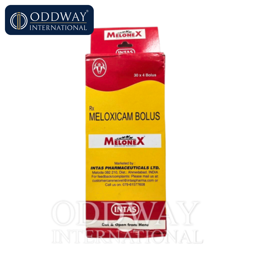 Meloxicam bolus wholesale supply for veterinary distributors