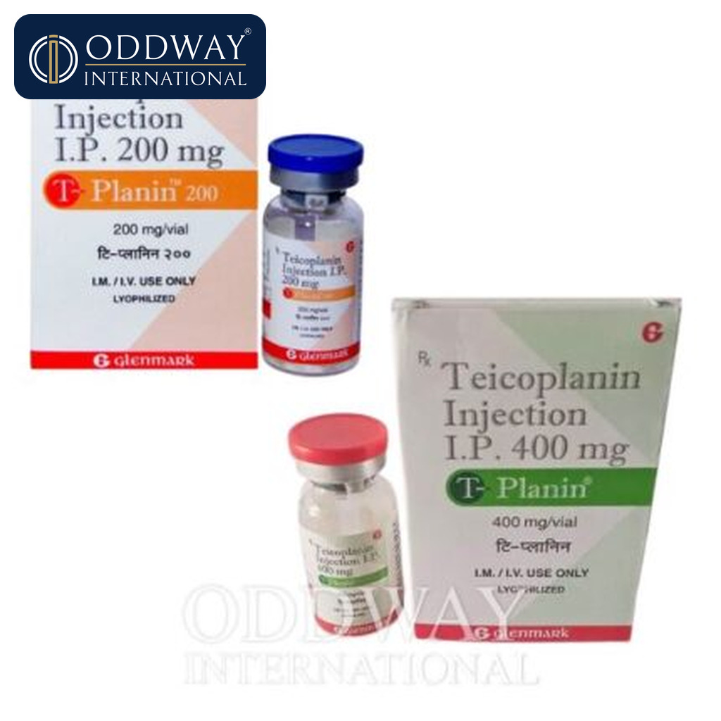 Teicoplanin IV Infusion exporter supply support for hospitals and importers