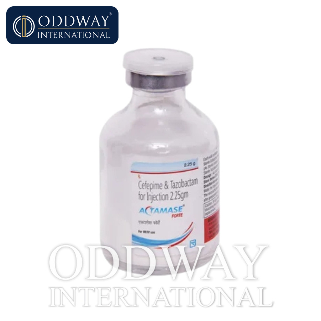 Inj Actamase Forte price inquiry for wholesale buyers