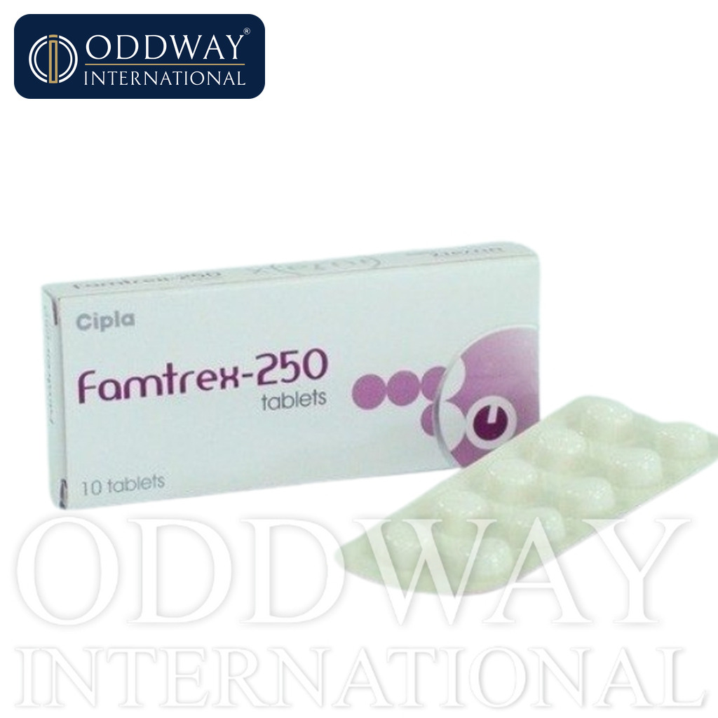 Famciclovir 500 mg Tablet supplier with COA and batch traceability support
