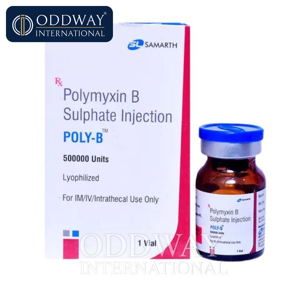 Inj Polymyxin B supplier from India with export documentation support