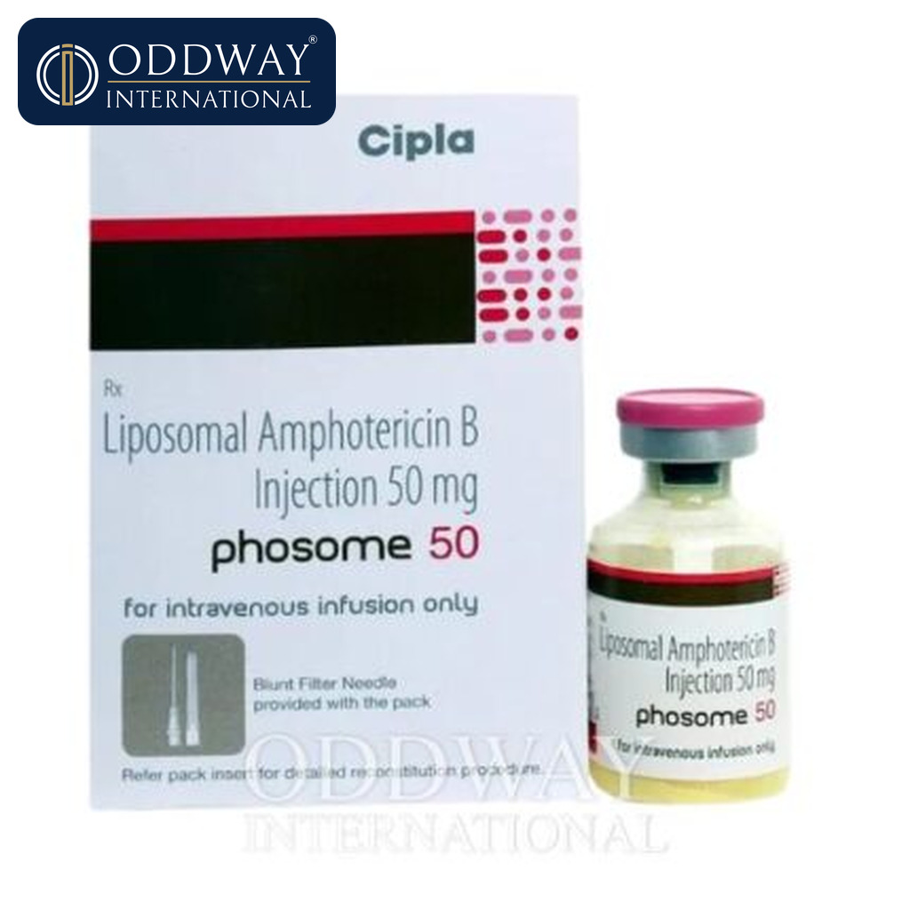 Inyección de anfotericina B liposomal para suministro mayorista de exportación