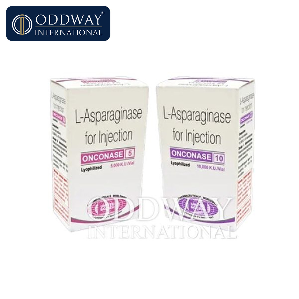 Bulk L Asparginase Injection export supply coordination