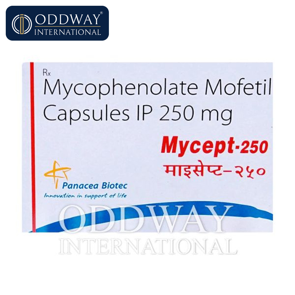 Mycept 500 mg Tablets export documentation and global shipping support