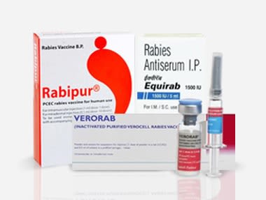 Wholesale anti rabies vaccine injection for hospitals and clinics – Oddway International"