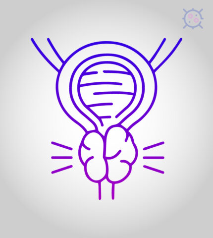 prostate cancer drugs