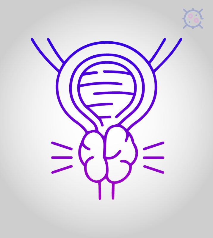 prostate cancer drugs