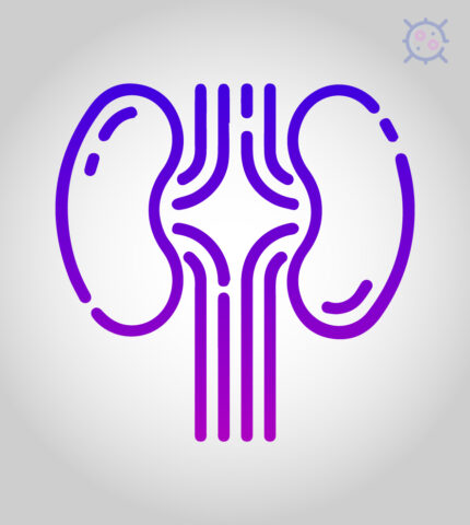 kidney cancer drugs
