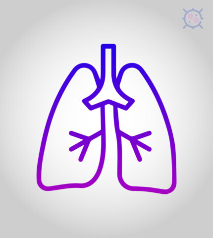 lung cancer medications