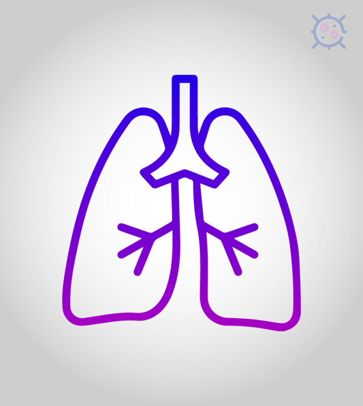 lung cancer medications