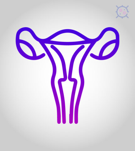 Ovarian Cancer Drugs