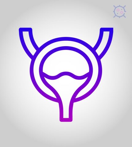 bladder cancer drugs