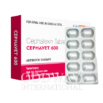Cephalexin For Dogs
