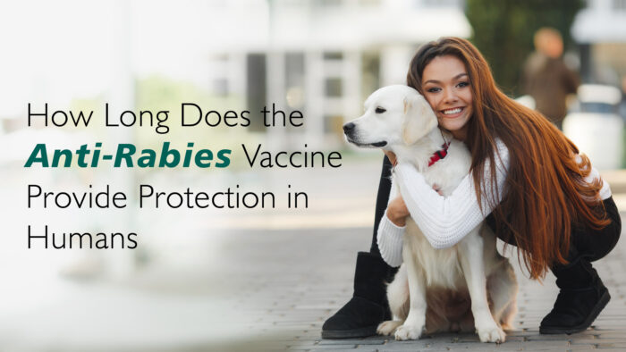 How Long Does the Anti Rabies Vaccine Protect Humans?
